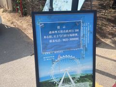 -日照海滨国家森林公园
