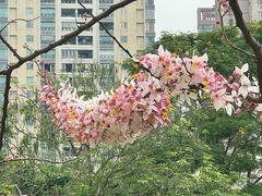 -四海公园(南山区)