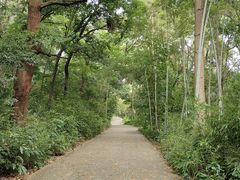 -南华禅寺