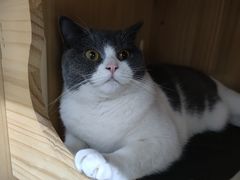 -云城照相馆(龙湖雨山天街店)