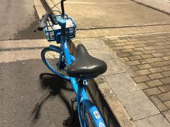 -南翔镇银翔湖公园