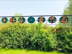 -前小桔亲子创意农场·草莓采摘·露营烧烤