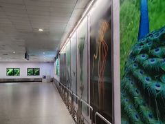 -班达拉奈克国际机场