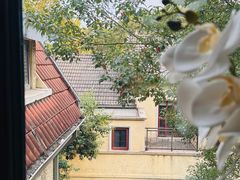 -Le Siècle.百年西餐厅(颐和公馆店)