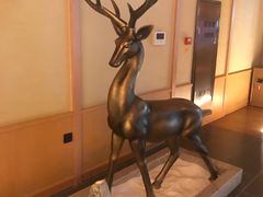 -蓝鲸湾汤泉(包河店)