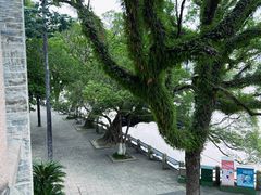 -江心屿景区