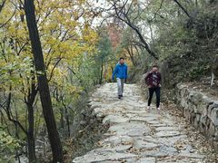 -北京鹫峰国家森林公园