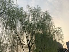 -沐仙湖湿地公园