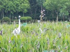 -映月湖公园