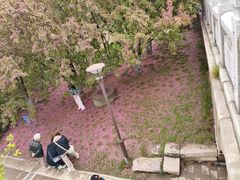 -元大都城垣遗址公园