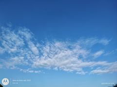 -金鸡山公园