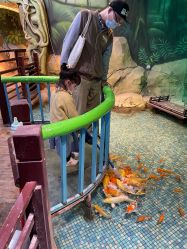 点击看大图 -酷嗒动物文化乐园(cutezoo西溪乐天城店)