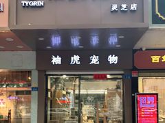 -袖虎宠物·金渐层缅因猫舍(灵芝店)