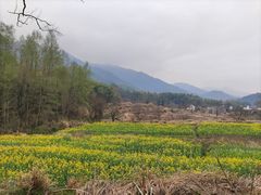 -塔川景区