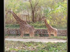 -北京野生动物园