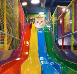 -宝燕乐园(闵行旗舰店)