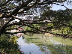 -江心屿景区