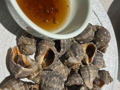-船歌·鱼水饺青岛菜(金狮广场店)