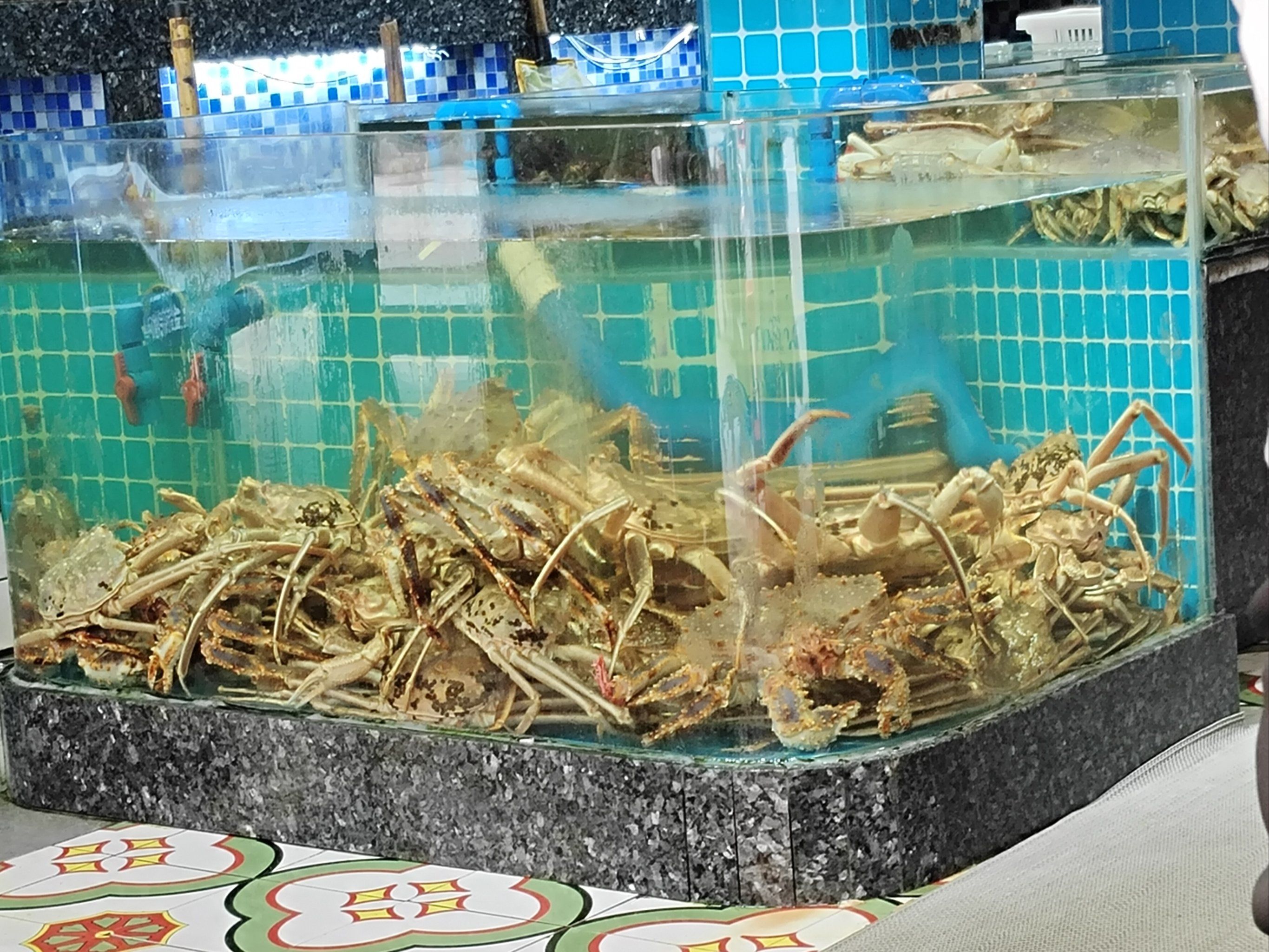 『鑫坞堂海鲜城』

地道闽南风味走进鑫坞堂店里

第一眼就被