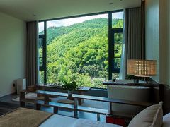 -长沙黑麋峰国家森林公园