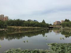 -前关湿地公园