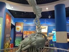 -国家自然博物馆