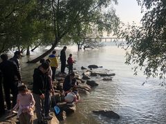 -宝安西湾红树林湿地公园