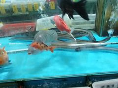 -崖口红树林海鲜餐厅