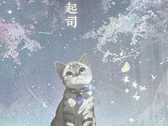 -戏精管理局·剧本杀·桌游·血染钟楼