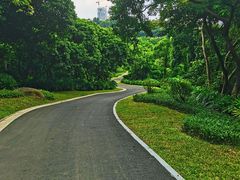 -玉树公园