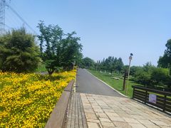 -长田漾湿地公园