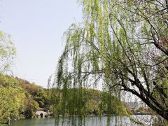 -杭州半山国家森林公园