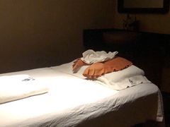 -端艾堂·SPA·艾灸(棕榈泉013店)