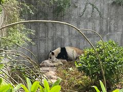 -南宁市动物园