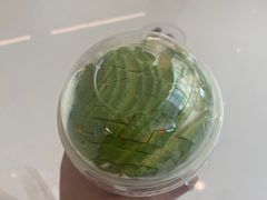 -茉酸奶(春熙路店)