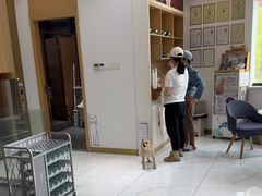 -希望动物医院(汉阳院)