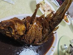 挣蹦鲤鱼-奥华餐厅·老张记(台基厂店)