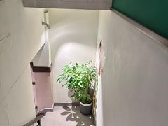 -1937青岛老味道·海肠捞饭·青岛菜(大鲍岛栈桥店)