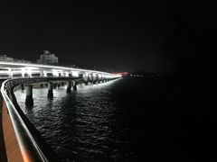 -演武大桥观景平台