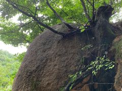 -尧山大峡谷漂流