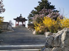 -大兴滨河森林公园