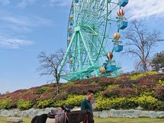 -南京银杏湖乐园