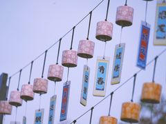 -顾村公园
