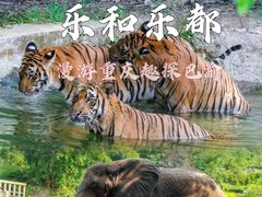 -乐和乐都主题乐园