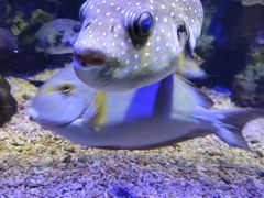 -郑州海洋馆