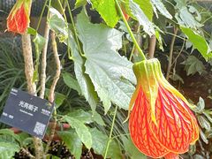 -国家植物园南园