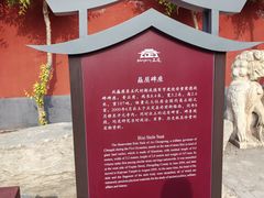 -正定古城-开元寺