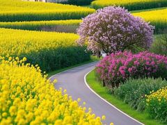 -长白岛森林公园