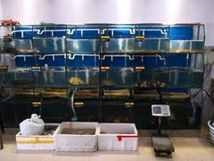 -胖大嫂渔家排档·全海景餐厅(渔村店)