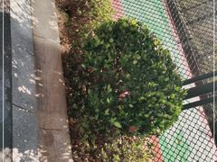 -舟山希尔顿酒店